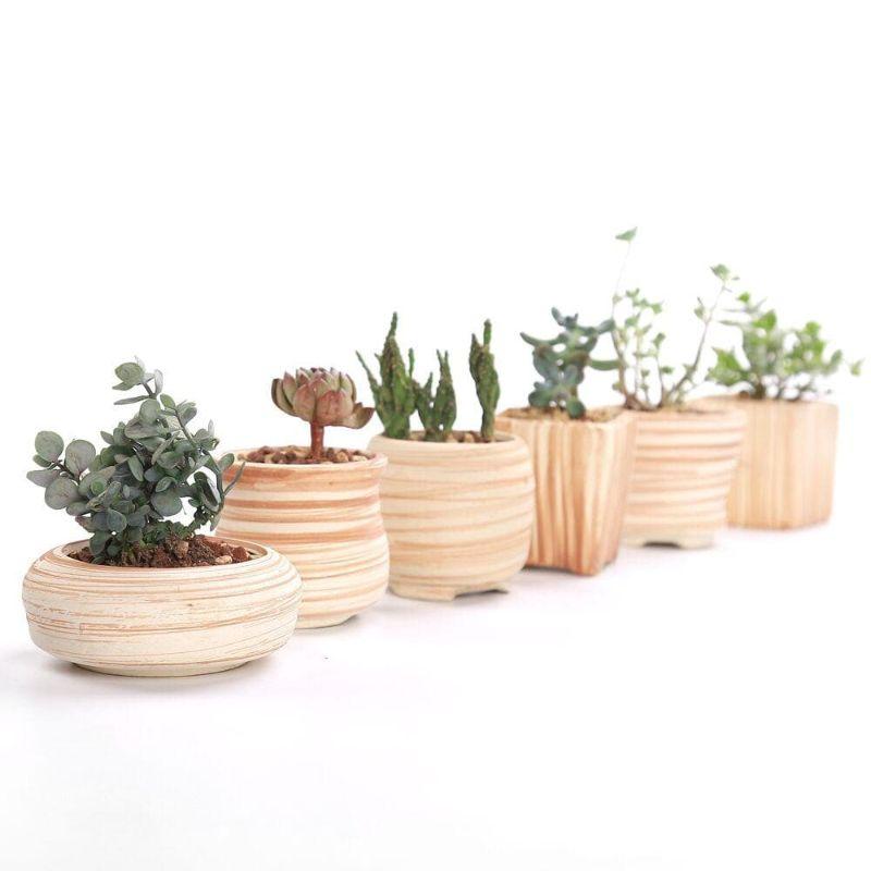 Mirage Flower Pots - Pots & Planters - YALA LIFE