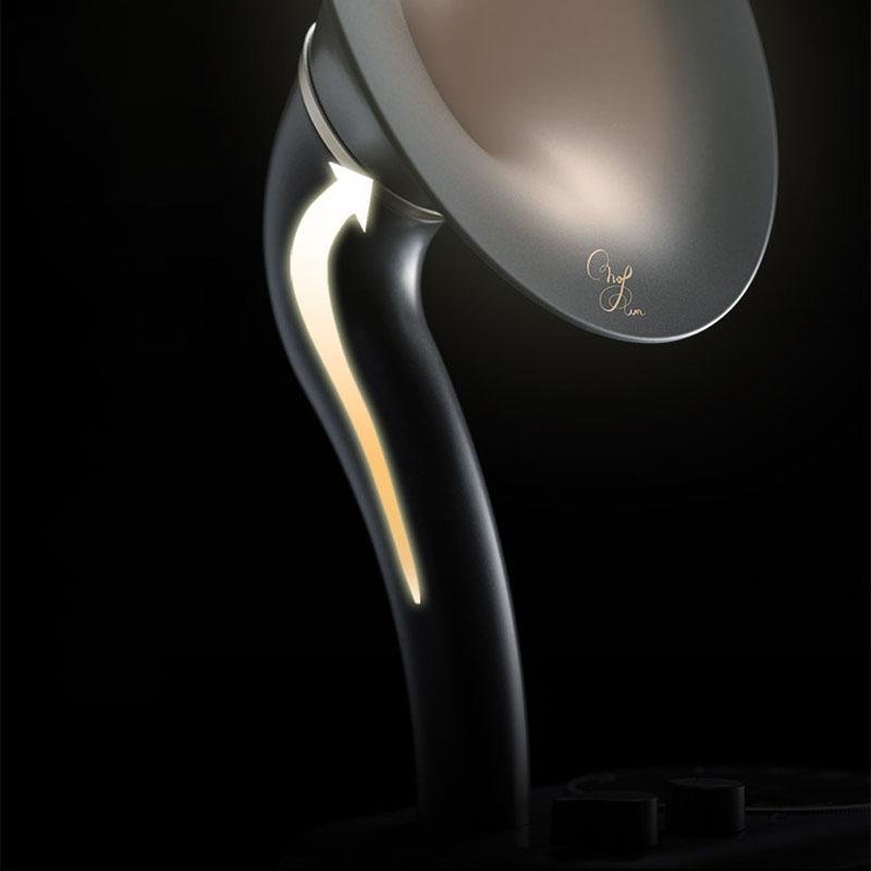 Sangean Chopin Radio &amp; Bluetooth Speaker - Speakers - YALA LIFE