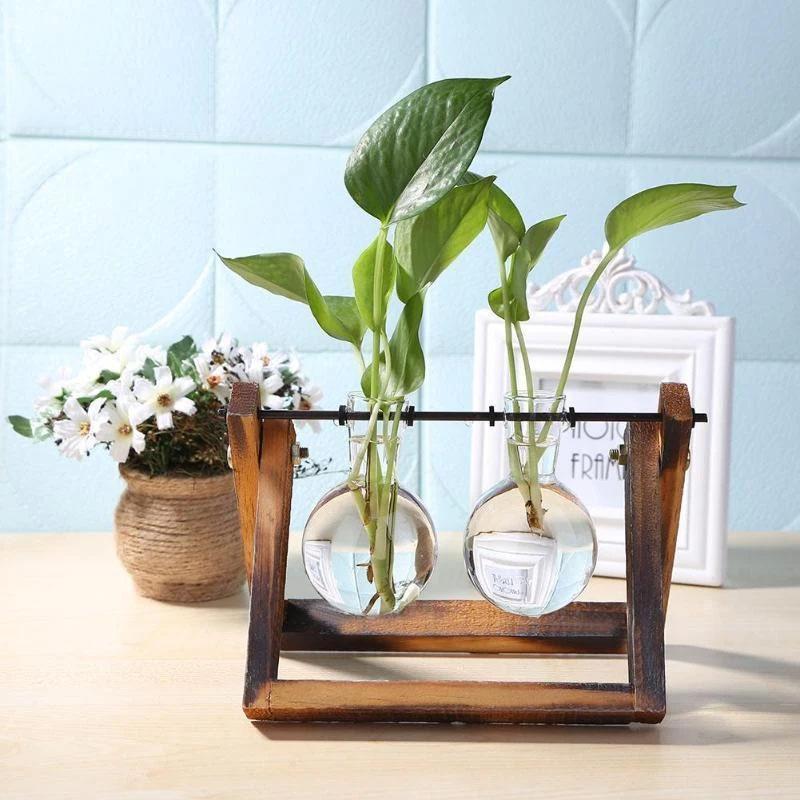 Terrarium Planter - Pots & Planters - YALA LIFE