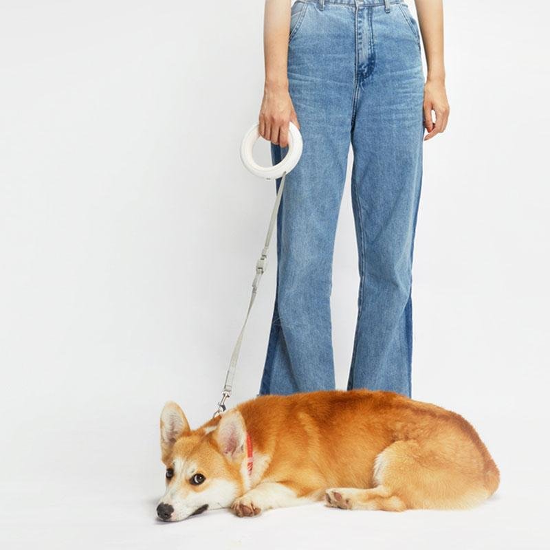 UFO Retractable Leash - Outdoor - YALA LIFE